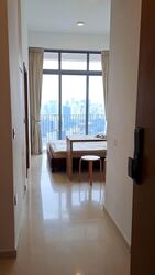 Spottiswoode Suites (D2), Apartment #548568601